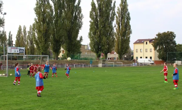 22.09.2017 WB Reinsdorf vs. SV Eintracht Elster