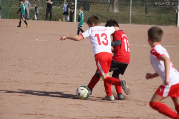 23.03.2019 SG WB Reinsdorf vs. SV Eintracht Elster