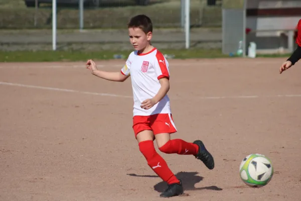 23.03.2019 SG WB Reinsdorf vs. SV Eintracht Elster