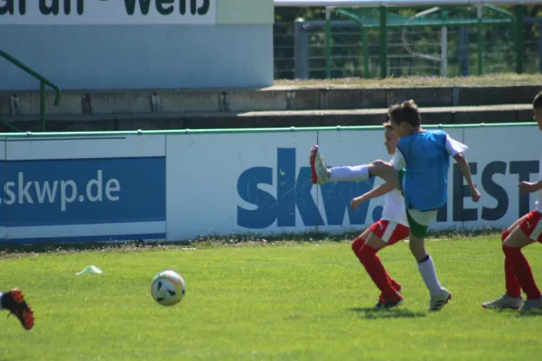 19.05.2019 FC GW Piesteritz vs. SG WB Reinsdorf