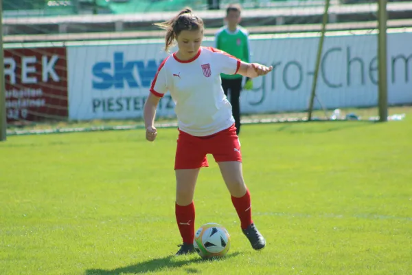 19.05.2019 FC GW Piesteritz vs. SG WB Reinsdorf